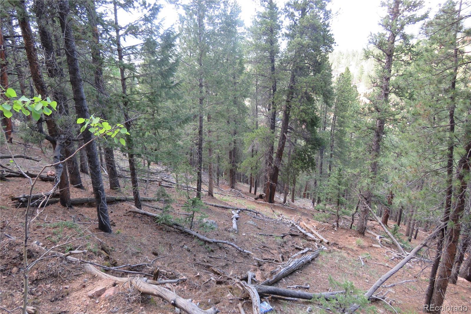 413 Wise Road Bailey, CO 80421 - Photo 15 of 19 Gallery Image 15