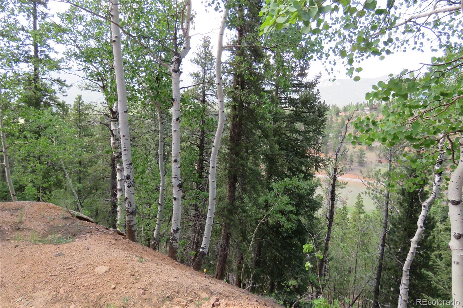 413 Wise Road Bailey, CO 80421 - Photo 18 of 19 Gallery Image 18