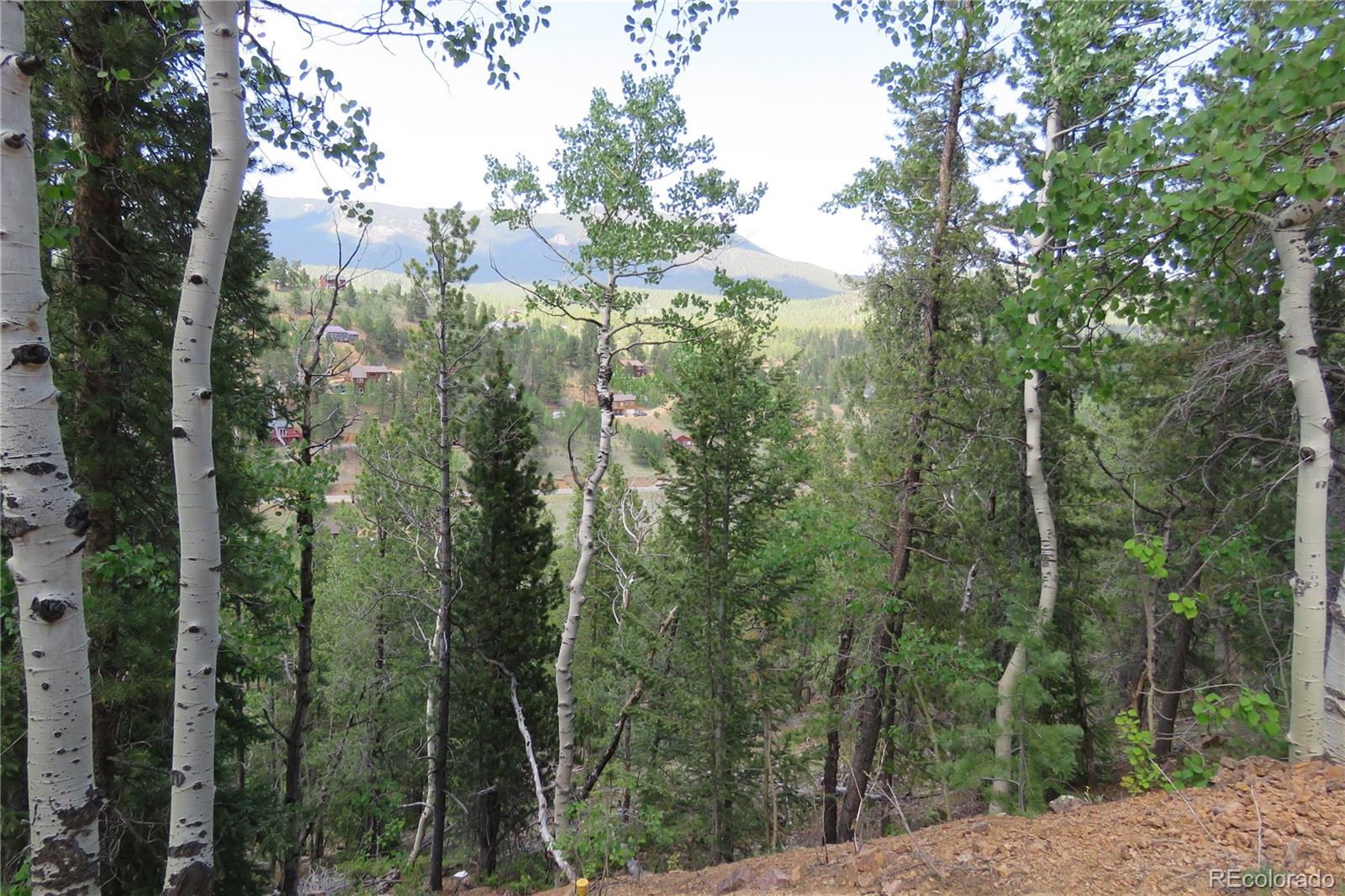 413 Wise Road Bailey, CO 80421 - Photo 19 of 19 Gallery Image 19