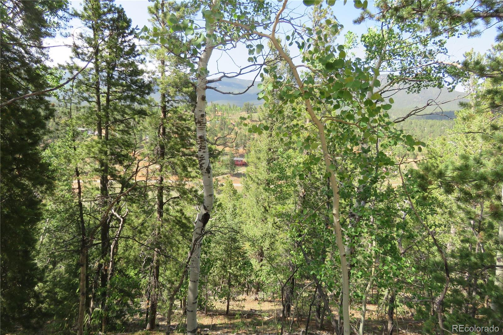 413 Wise Road Bailey, CO 80421 - Photo 2 of 19 Gallery Image 2