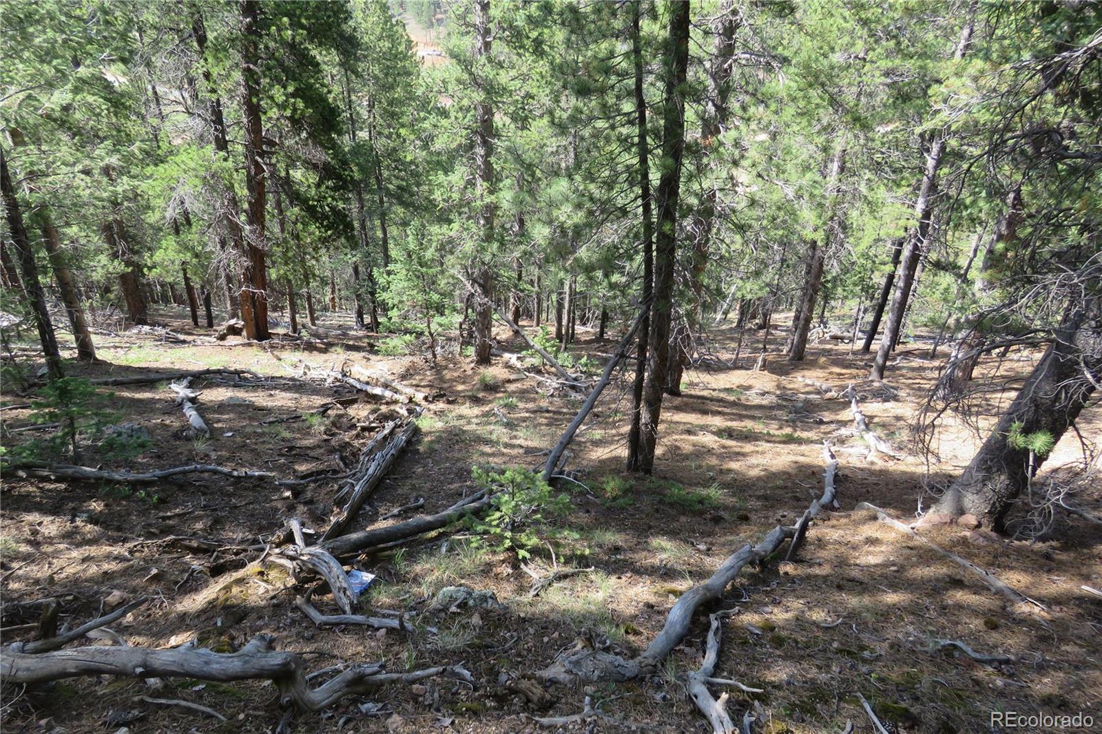 413 Wise Road Bailey, CO 80421 - Photo 3 of 19 Gallery Image 3