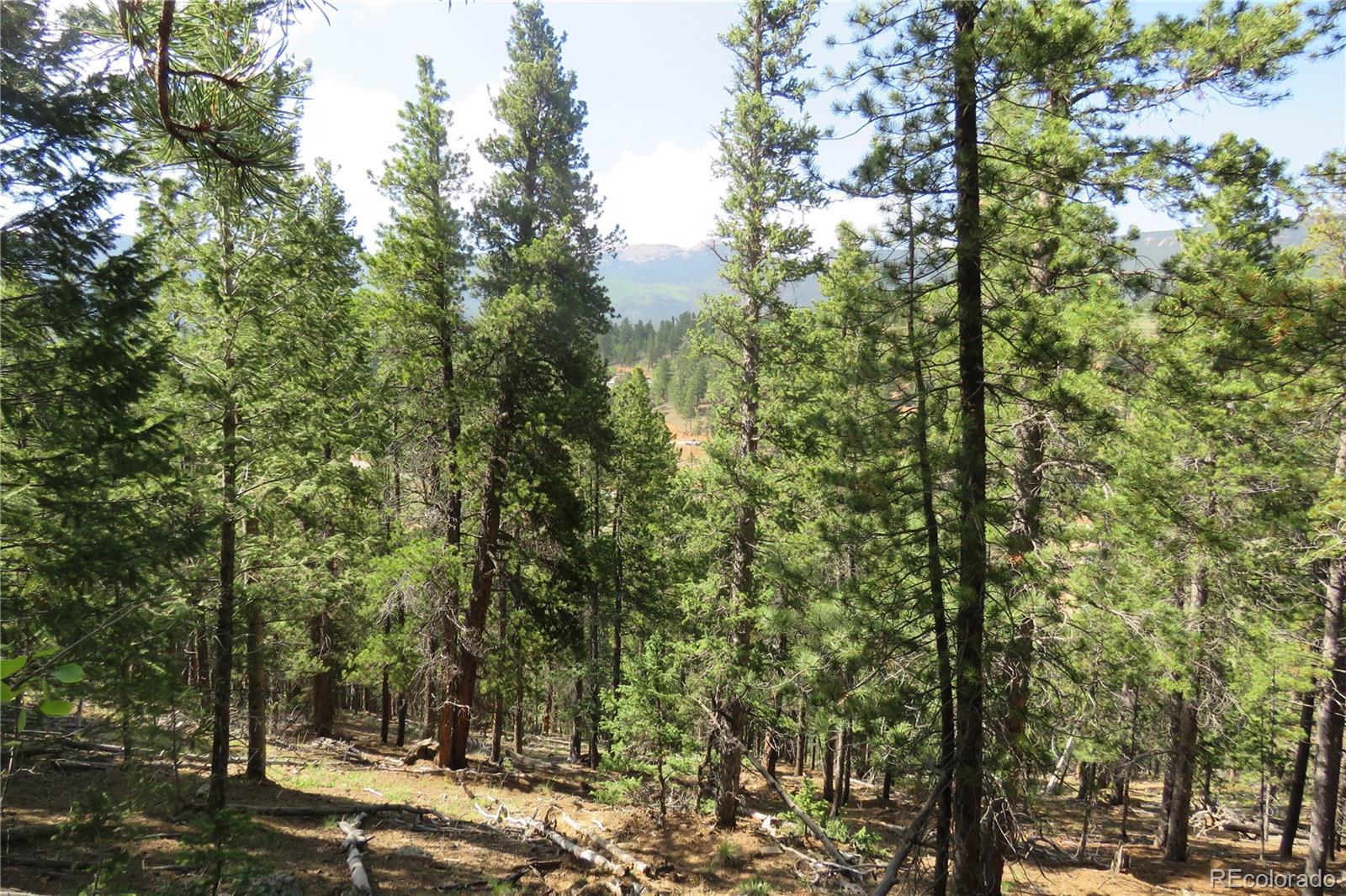 413 Wise Road Bailey, CO 80421 - Photo 4 of 19 Gallery Image 4