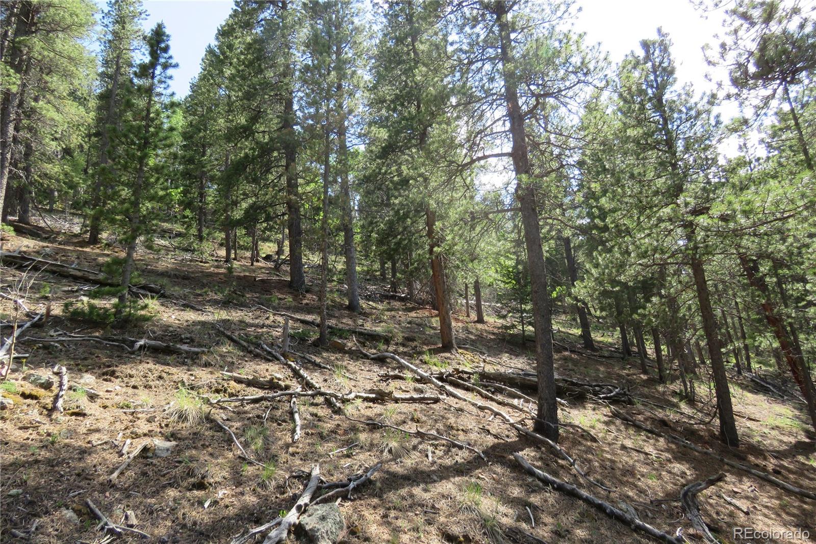 413 Wise Road Bailey, CO 80421 - Photo 8 of 19 Gallery Image 8