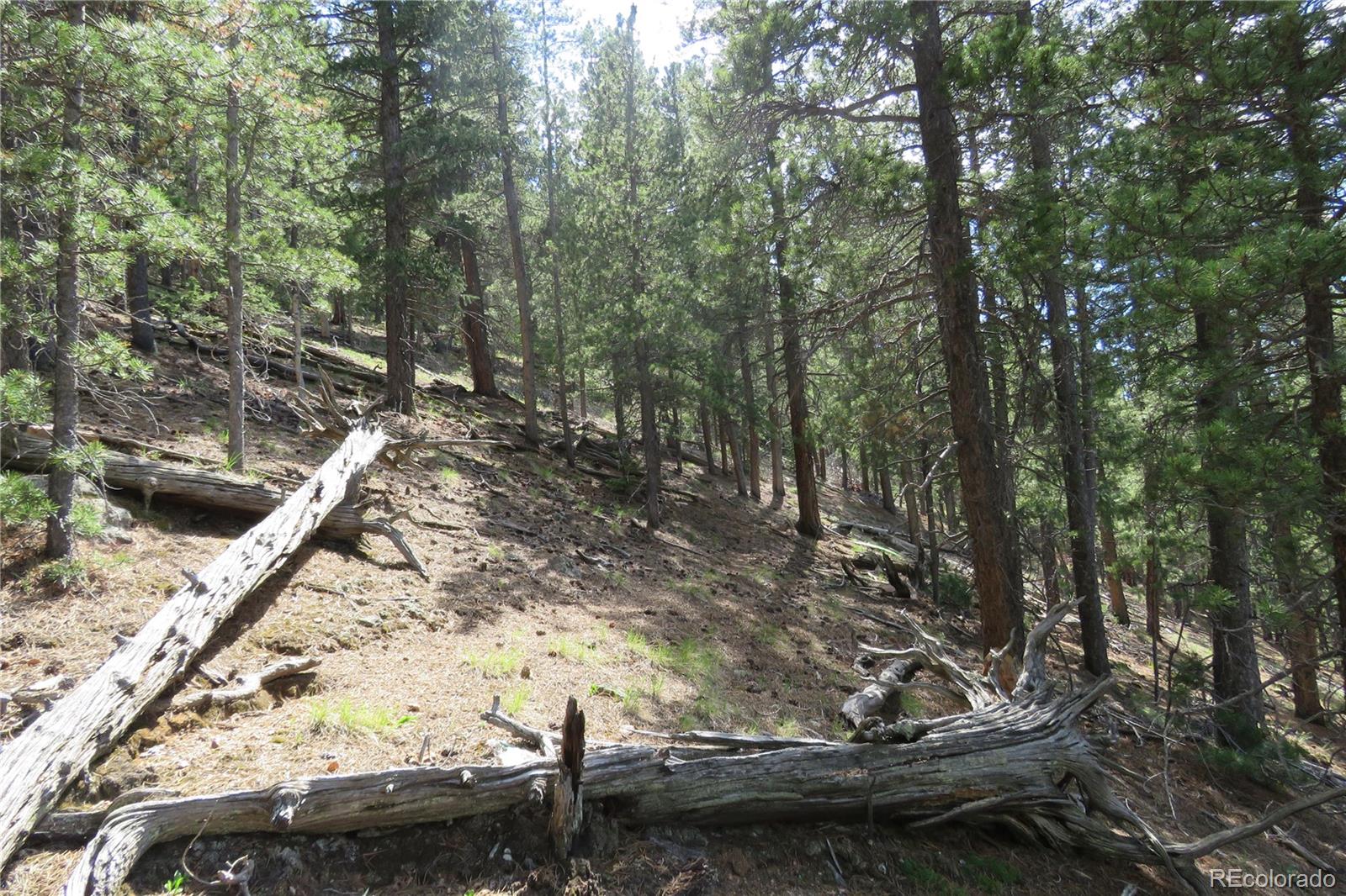 413 Wise Road Bailey, CO 80421 - Photo 10 of 19 Gallery Image 10