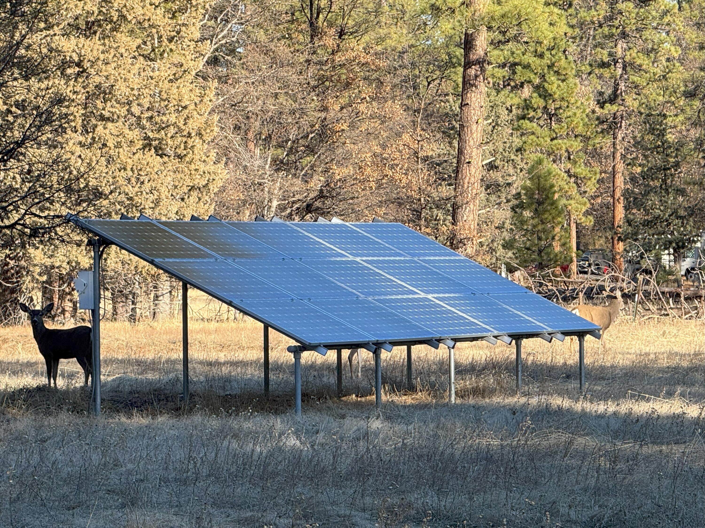 40759 Old School Road Fall River Mills, CA 96028 - Photo 44 of 54 20241205_222940088_iOS