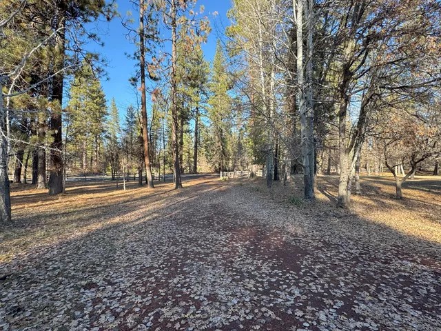 $249,000 | 40759 Old School Road, Fall River Mills, CA 96028