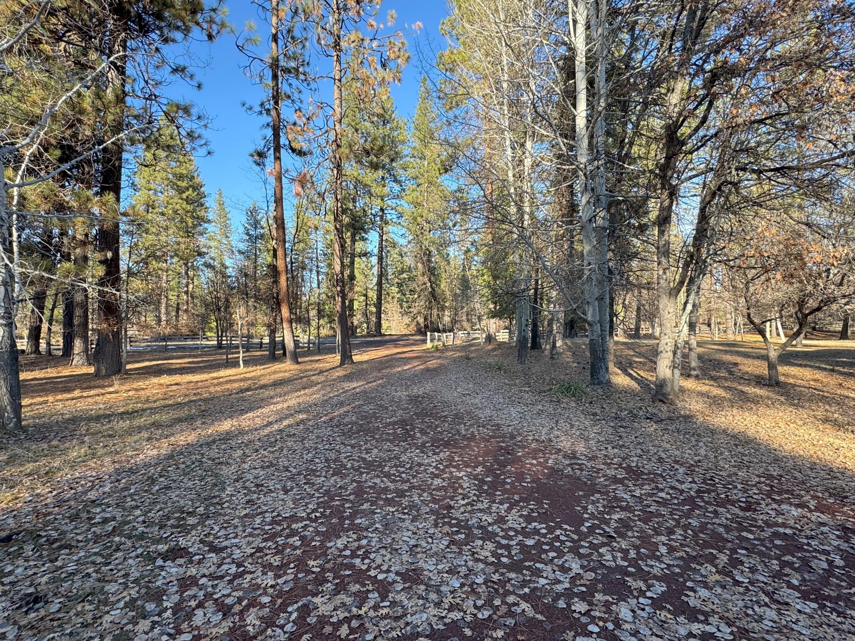 40759 Old School Road Fall River Mills, CA 96028 - Photo 53 of 54 20241205_223359209_iOS