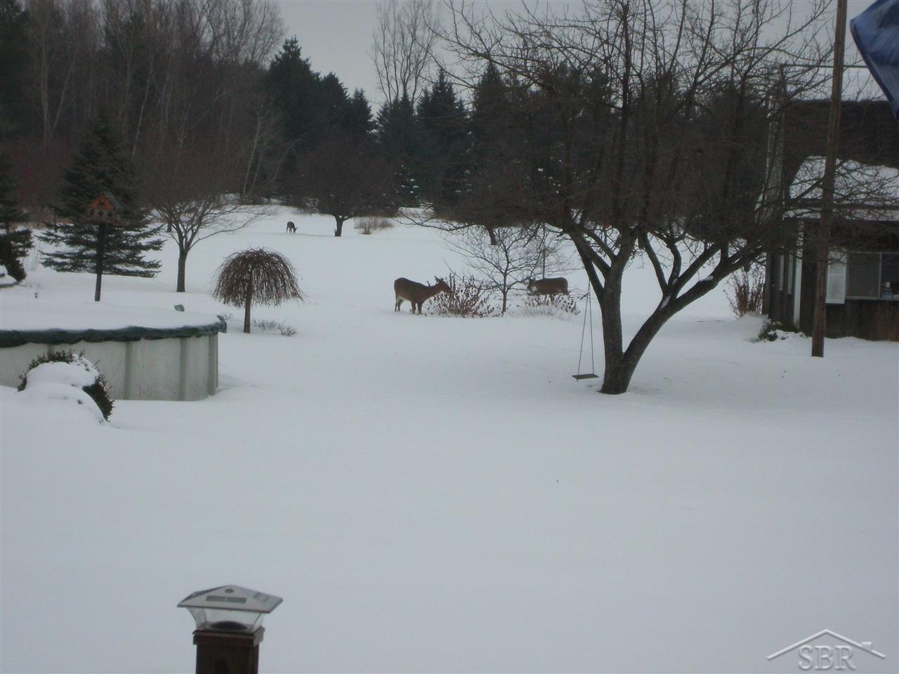 9455 Busch Road Birch Run, MI 48415 - Photo 78 of 82 31333027-77.JPG