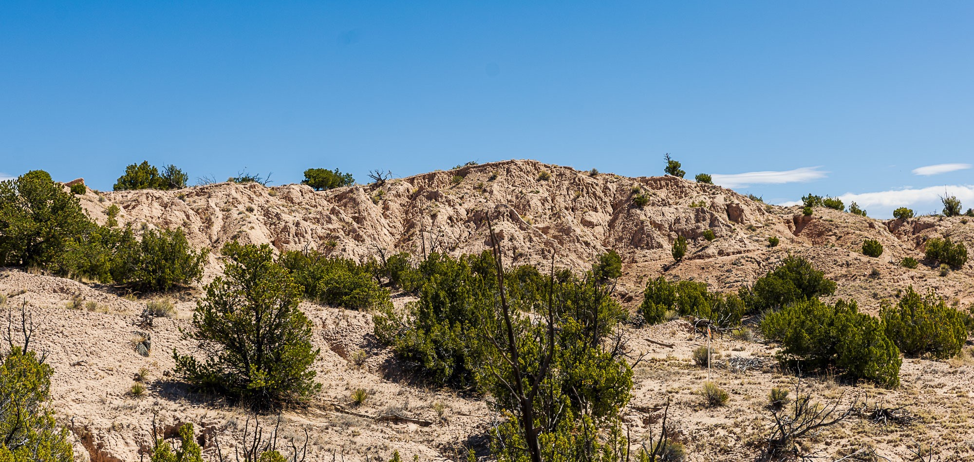 0 El Rito Estates Abiquiu, NM 87510 - Photo 28 of 56