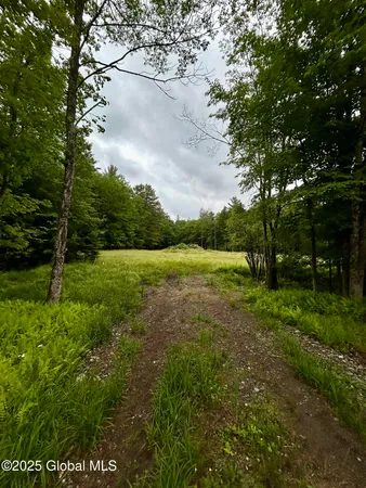 $125,000 | L40.12 Persch Road, Canajoharie, NY 13317