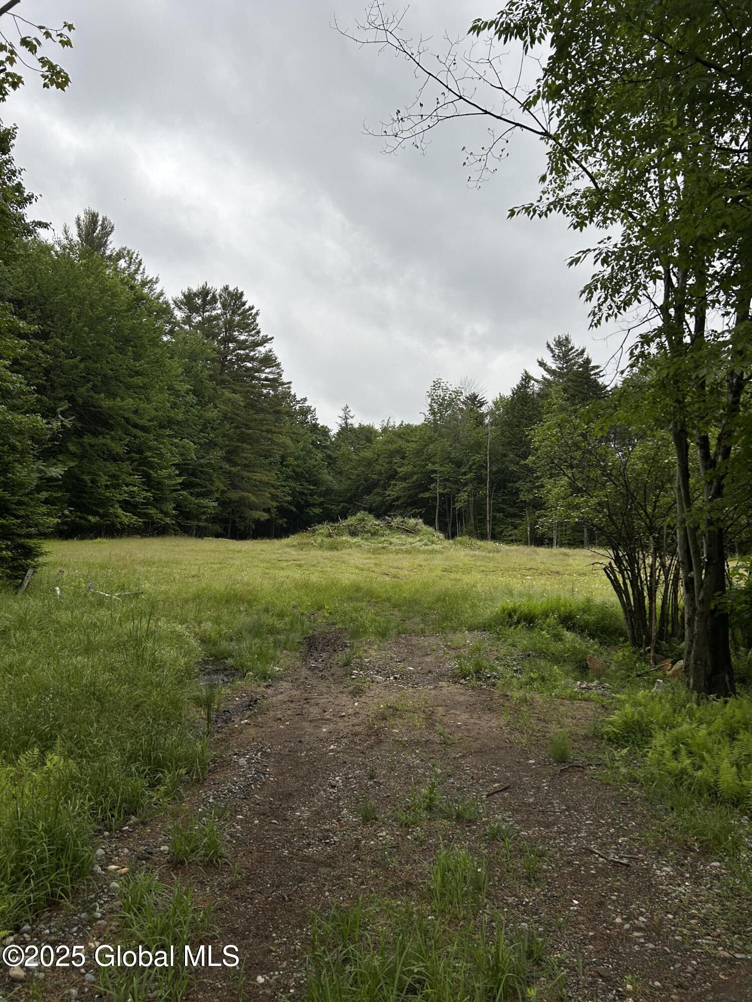 L40.12 Persch Road Canajoharie, NY 13317 - Photo 2 of 6 IMG_8071