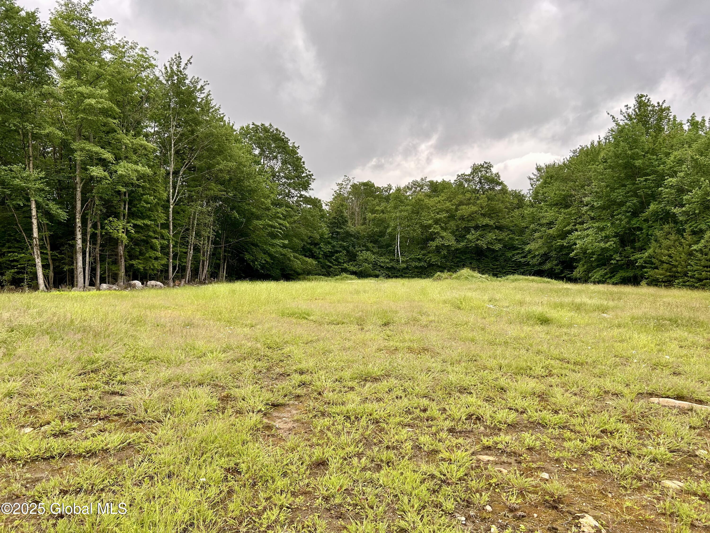 L40.12 Persch Road Canajoharie, NY 13317 - Photo 4 of 6 IMG_8066