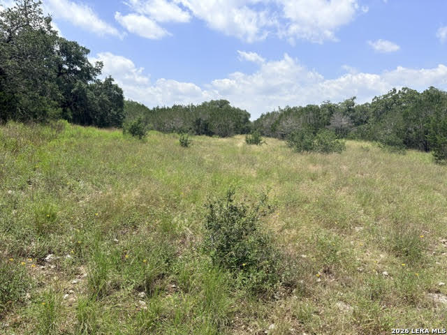 359 River Cliff Place Spring Branch, TX 78070 - Photo 13 of 14