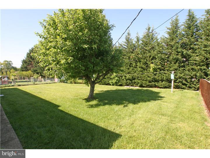 42 Red Mill Road Newark, DE 19711 - Photo 14 of 15 Back Yard