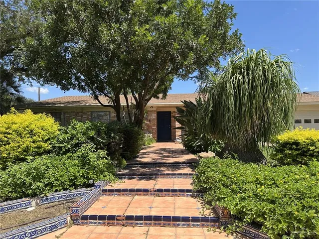 a view of a yard with plants