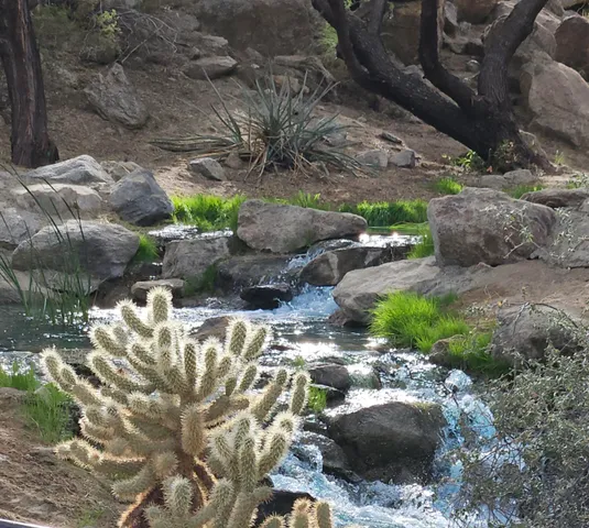 a view of a backyard with water fountain