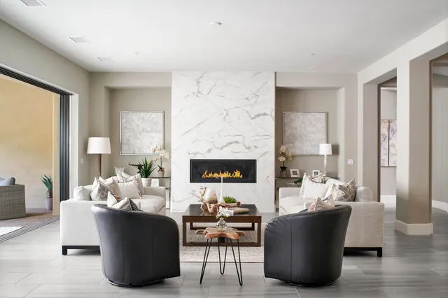 a living room with furniture potted plant and a fireplace
