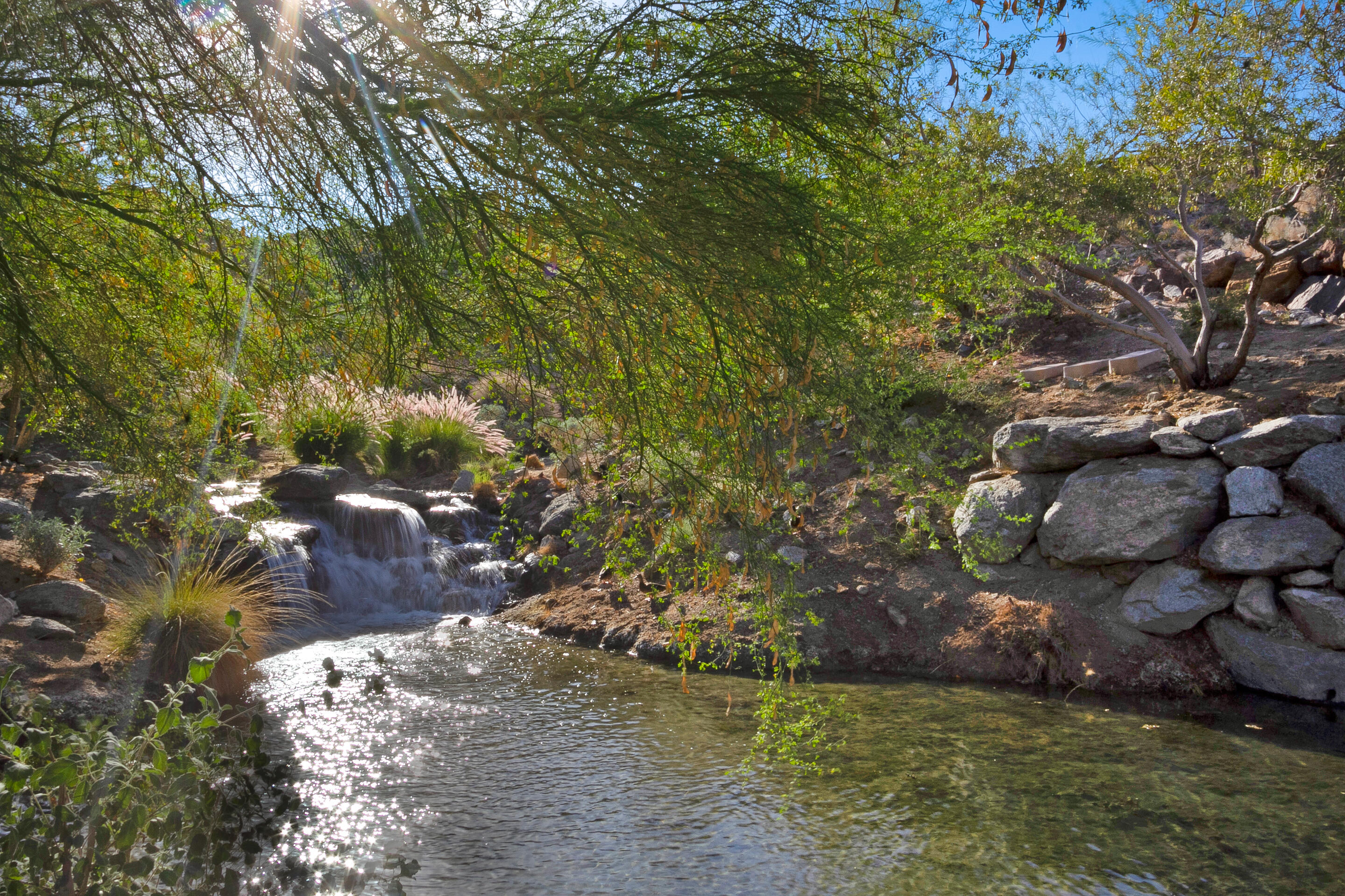 48499 Old Stone Trail Palm Desert, CA 92260 - Photo 9 of 11 a view of a yard with a tree