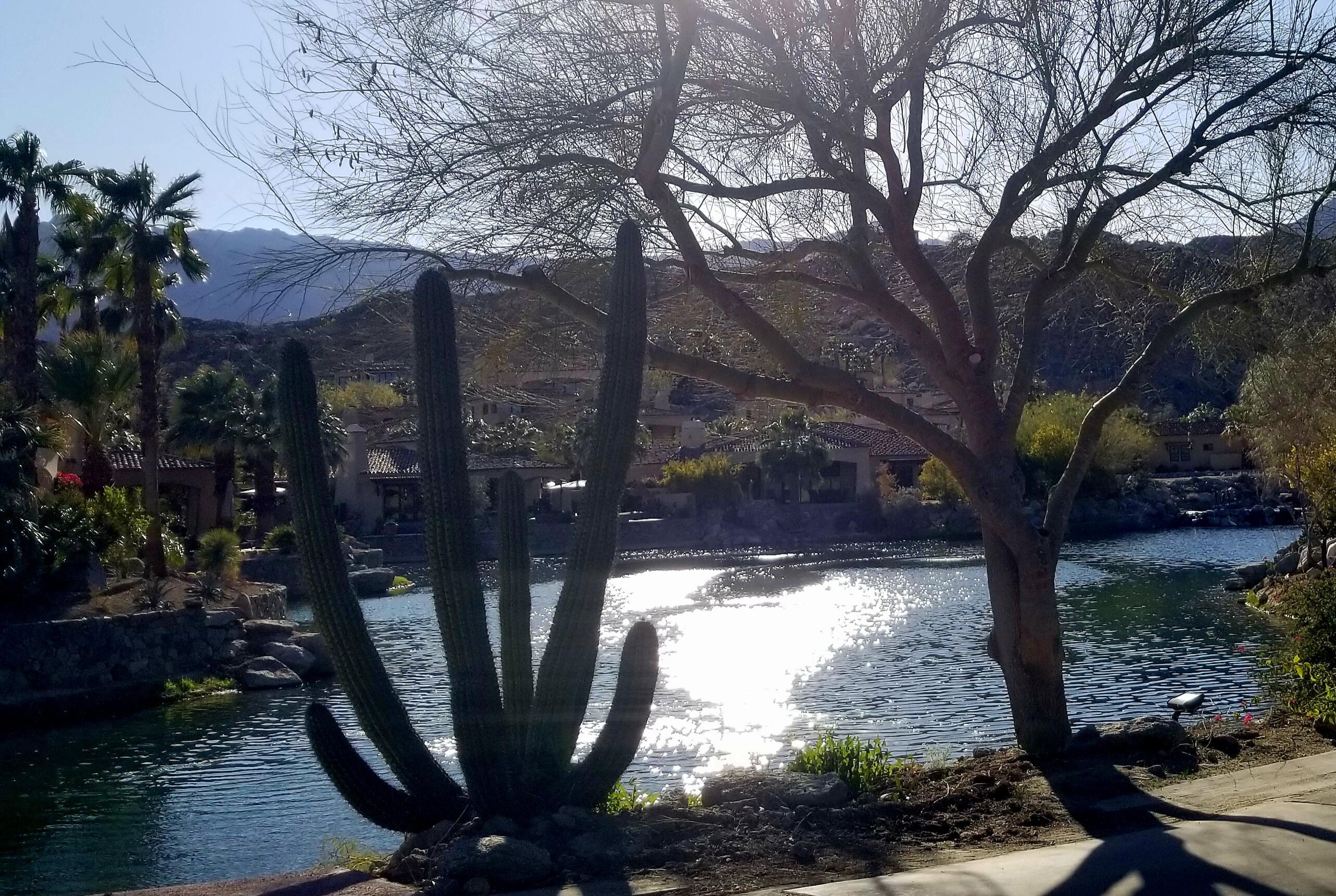48499 Old Stone Trail Palm Desert, CA 92260 - Photo 10 of 11 a view of a porch with a yard