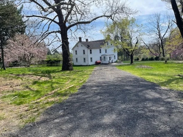 a backyard of a house with plants and large tree