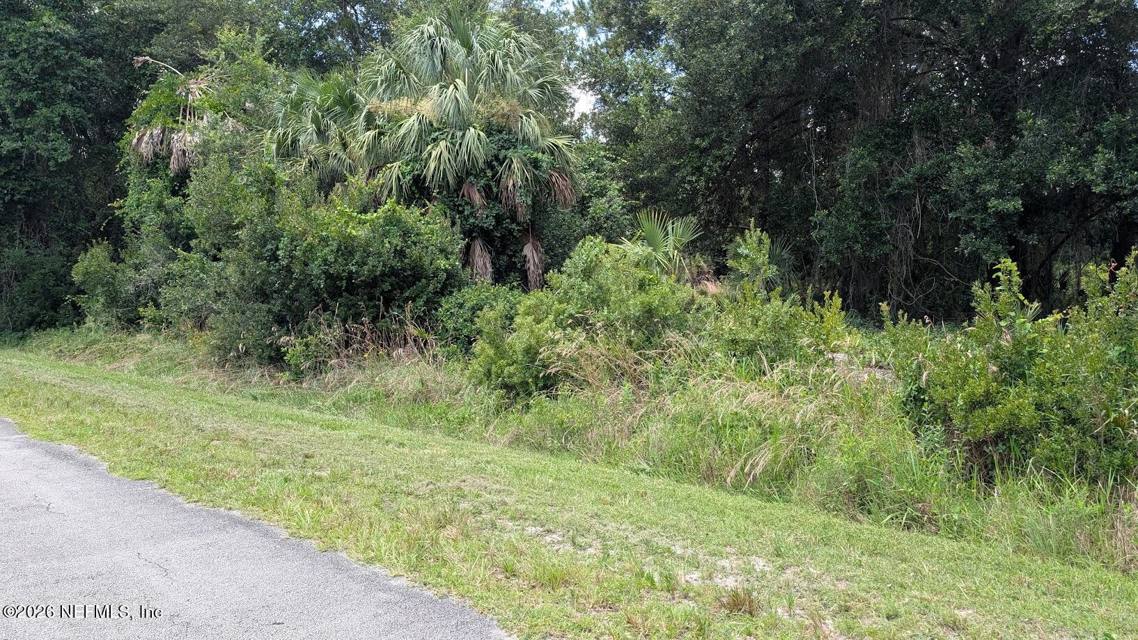 710 Paradise Boulevard Georgetown, FL 32139 - Photo 4 of 14 4