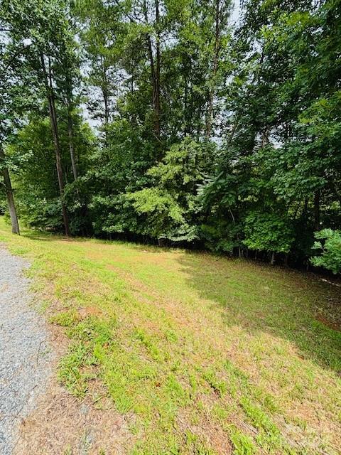 196 Moriah Drive Rutherfordton, NC 28139 - Photo 25 of 48 a view of a lake view