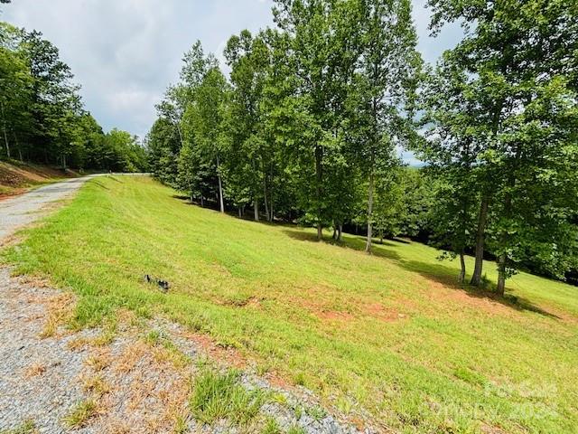 196 Moriah Drive Rutherfordton, NC 28139 - Photo 28 of 48 a view of a large yard with large trees