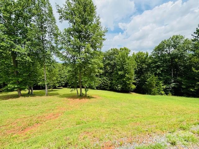 196 Moriah Drive Rutherfordton, NC 28139 - Photo 29 of 48 a view of an outdoor space and a yard