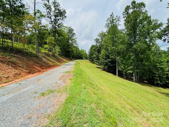 196 Moriah Drive Rutherfordton, NC 28139 - Photo 30 of 48 a view of a yard with large trees