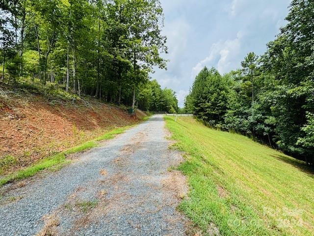 196 Moriah Drive Rutherfordton, NC 28139 - Photo 32 of 48 a view of a yard with plants and trees