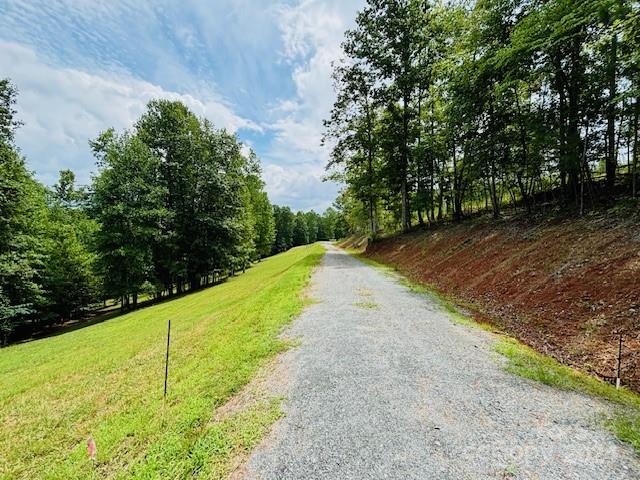 196 Moriah Drive Rutherfordton, NC 28139 - Photo 4 of 48 a view of a yard with plants and trees