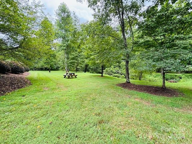 196 Moriah Drive Rutherfordton, NC 28139 - Photo 44 of 48 a garden with trees in the background