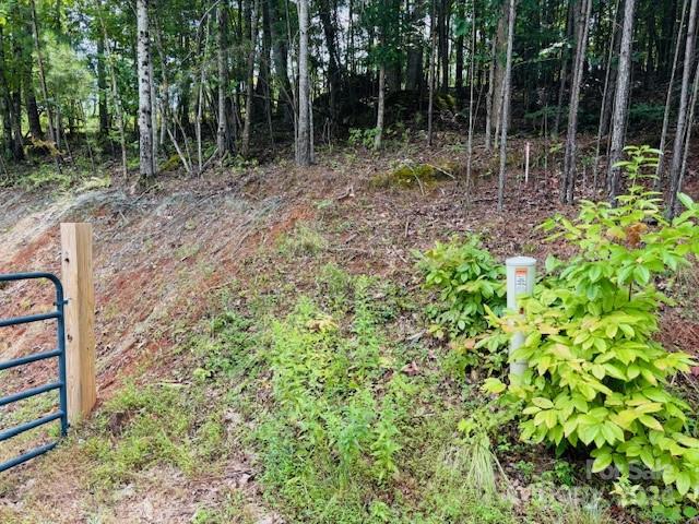 196 Moriah Drive Rutherfordton, NC 28139 - Photo 5 of 48 a backyard of a house with lots of green space and garden