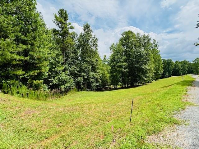 196 Moriah Drive Rutherfordton, NC 28139 - Photo 6 of 48 a view of a yard with a house