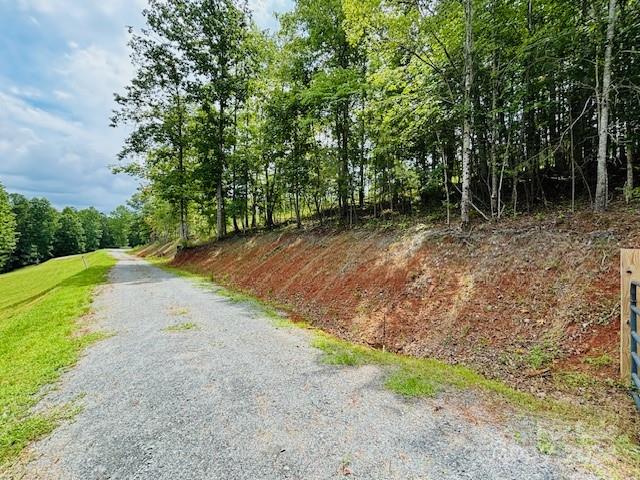 196 Moriah Drive Rutherfordton, NC 28139 - Photo 9 of 48 a view of a yard with plants and trees
