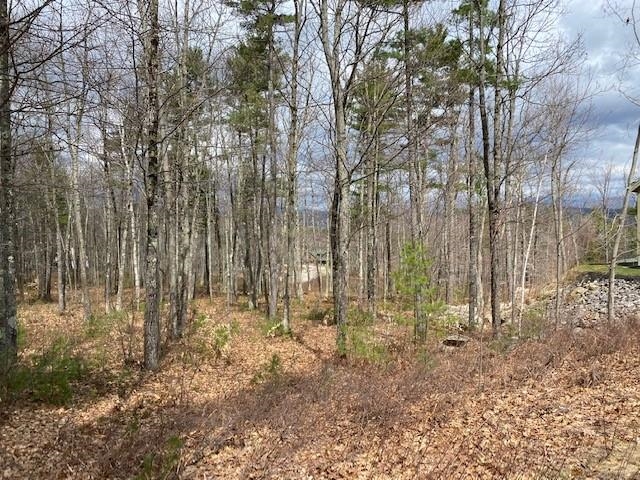 63 Commander's Helm, Unit 87 Laconia, NH 03246 - Photo 1 of 17