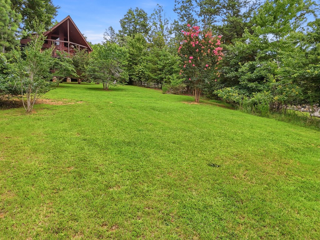 516 Endless View Road Mineral Bluff, GA 30559 - Photo 42 of 55