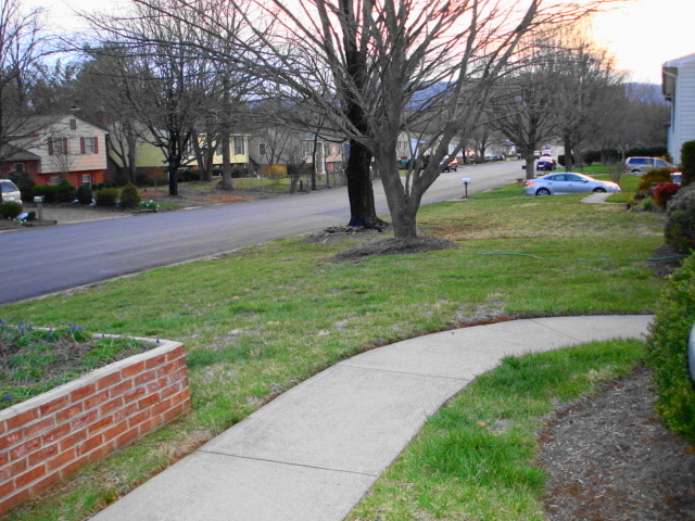 3671 Bower Road Roanoke, VA 24018 - Photo 14 of 15 Looking up Bower Rd., from front yard
