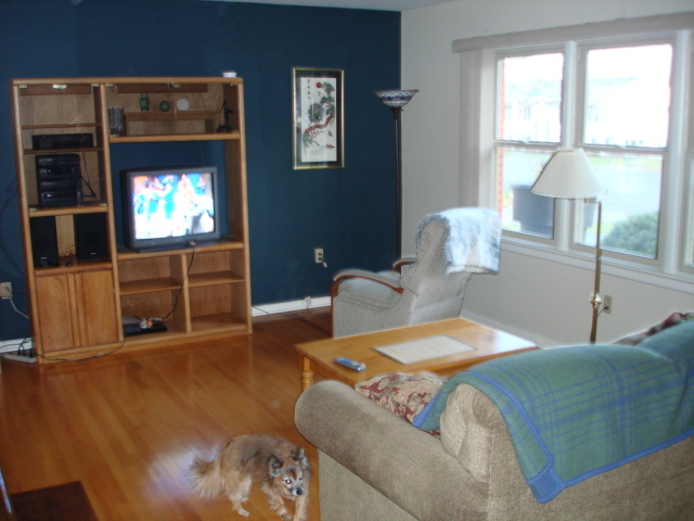 3671 Bower Road Roanoke, VA 24018 - Photo 8 of 15 Living Room