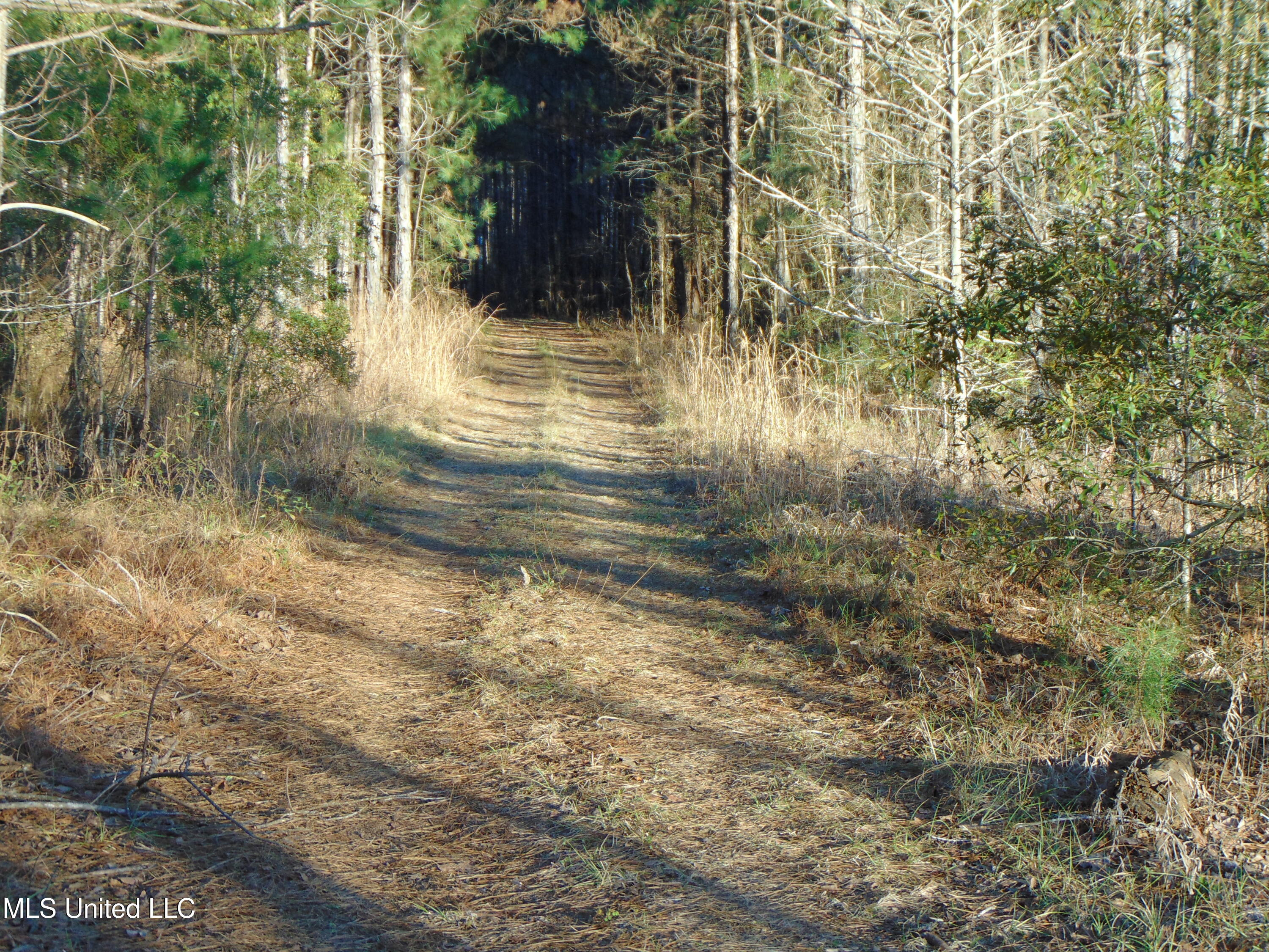 2605 Northeast Brignall Road Brookhaven, MS 39601 - Photo 11 of 33 DSC05656