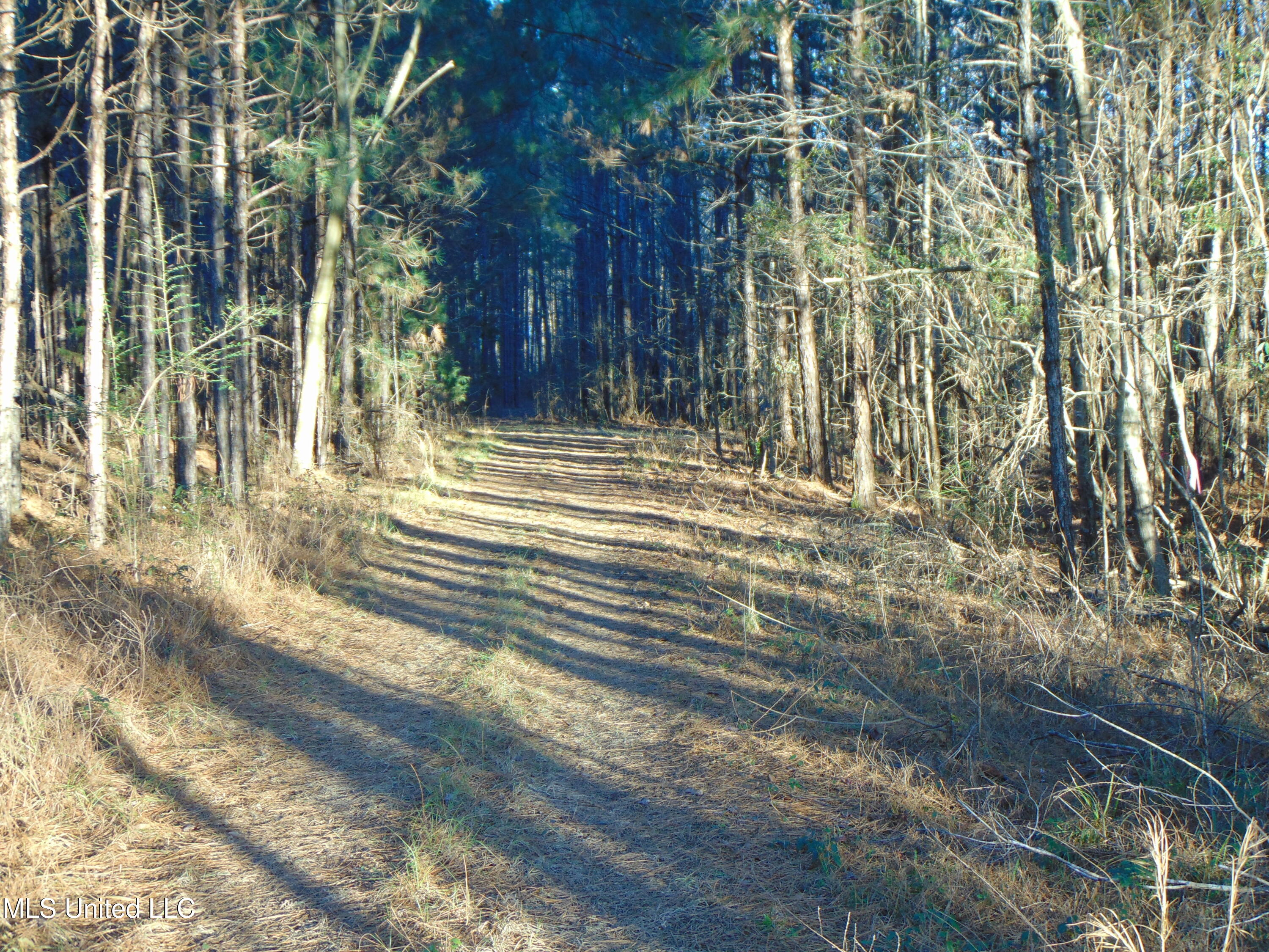 2605 Northeast Brignall Road Brookhaven, MS 39601 - Photo 12 of 33 DSC05657