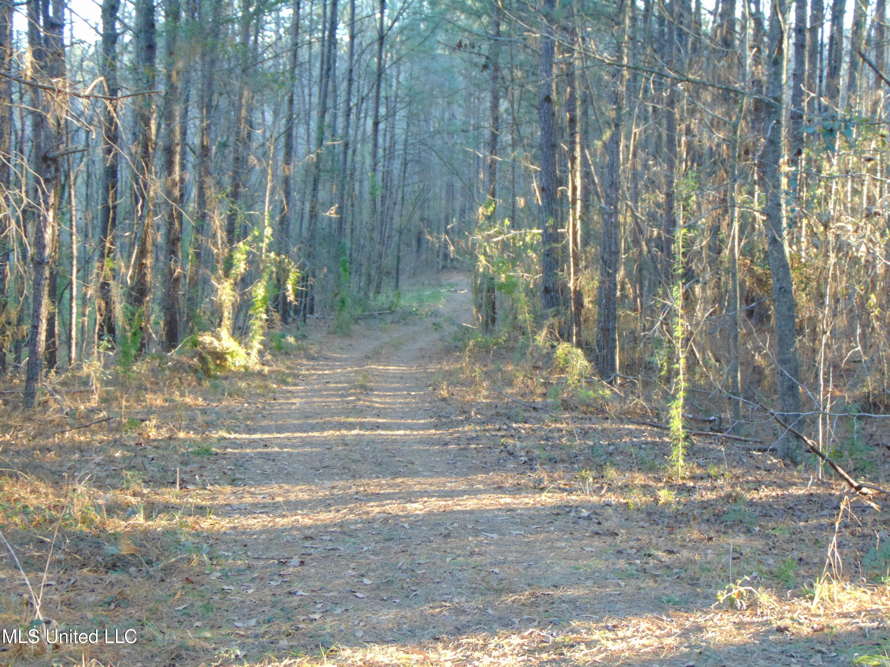2605 Northeast Brignall Road Brookhaven, MS 39601 - Photo 14 of 33 DSC05660
