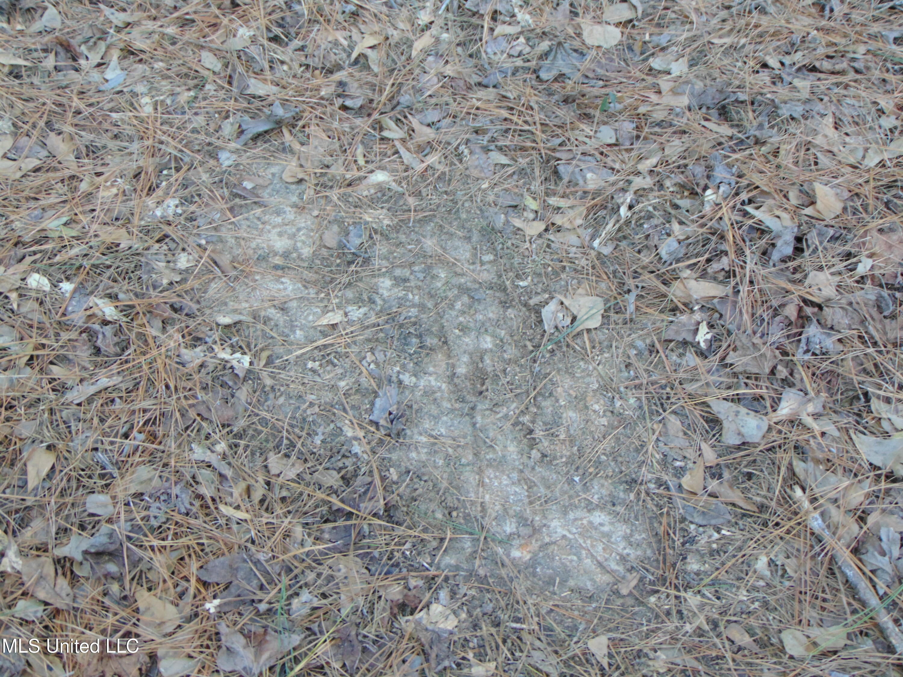 2605 Northeast Brignall Road Brookhaven, MS 39601 - Photo 20 of 33 DSC05666