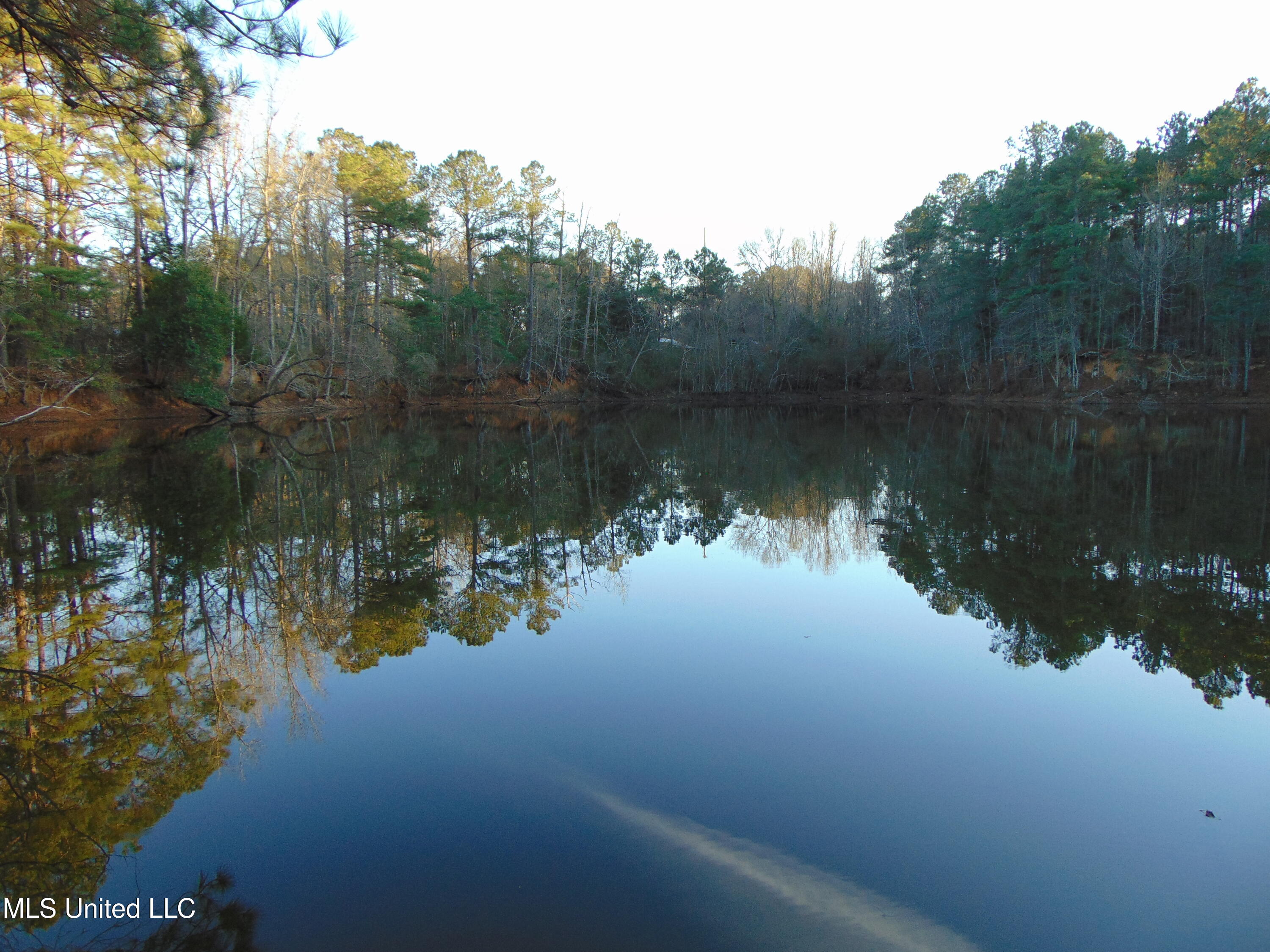 2605 Northeast Brignall Road Brookhaven, MS 39601 - Photo 2 of 33 DSC05671