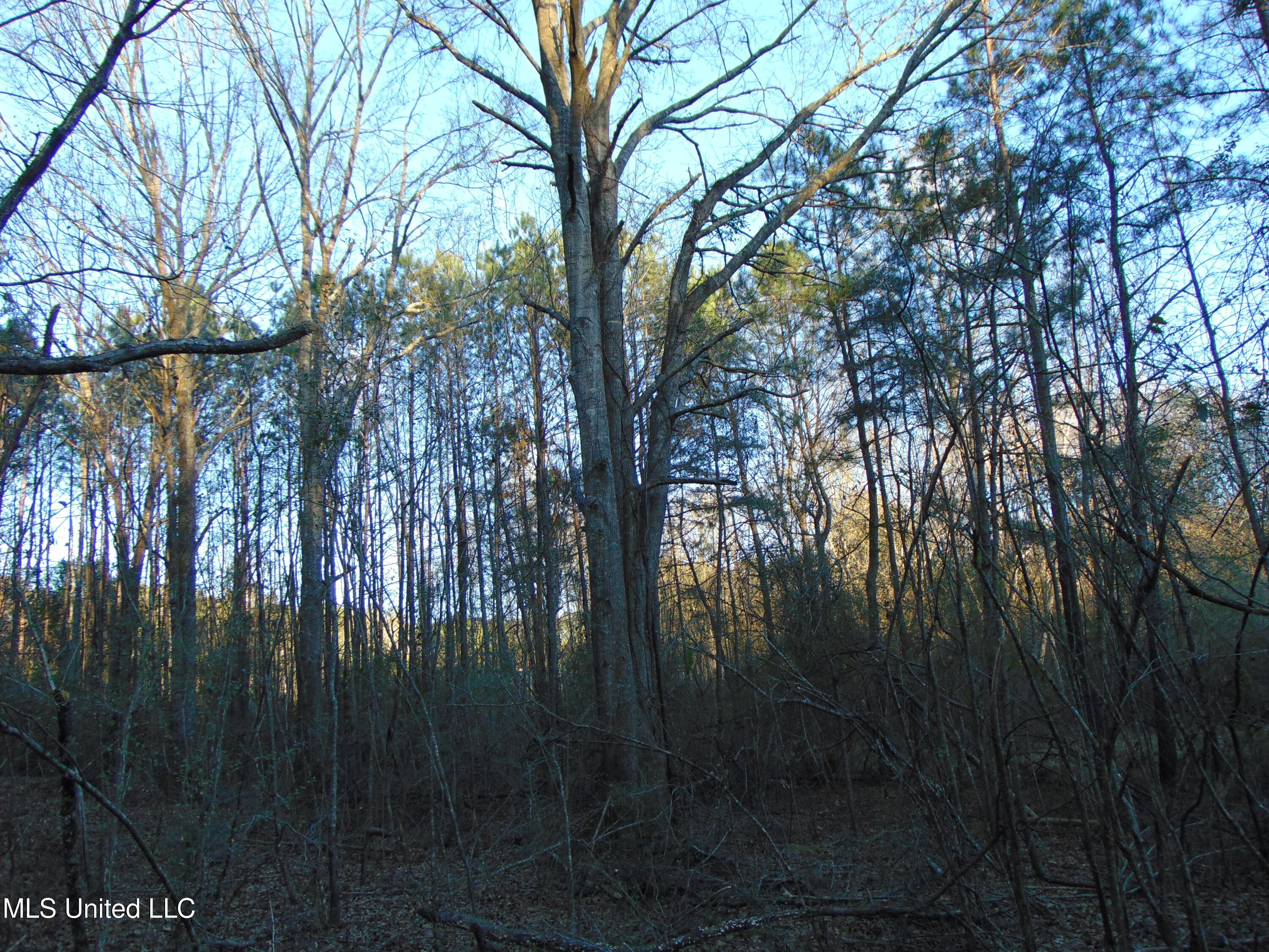 2605 Northeast Brignall Road Brookhaven, MS 39601 - Photo 23 of 33 DSC05669