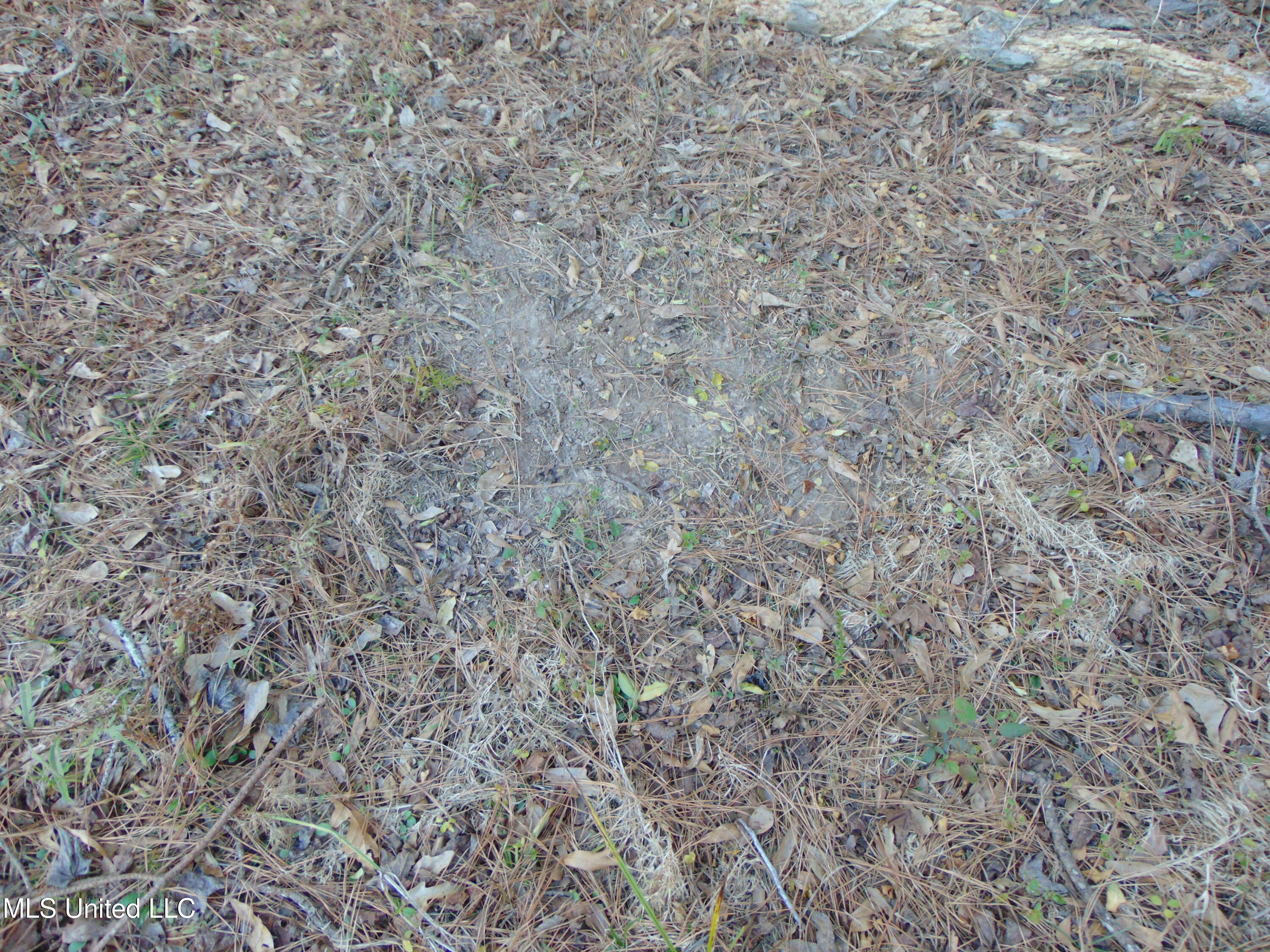 2605 Northeast Brignall Road Brookhaven, MS 39601 - Photo 24 of 33 DSC05670