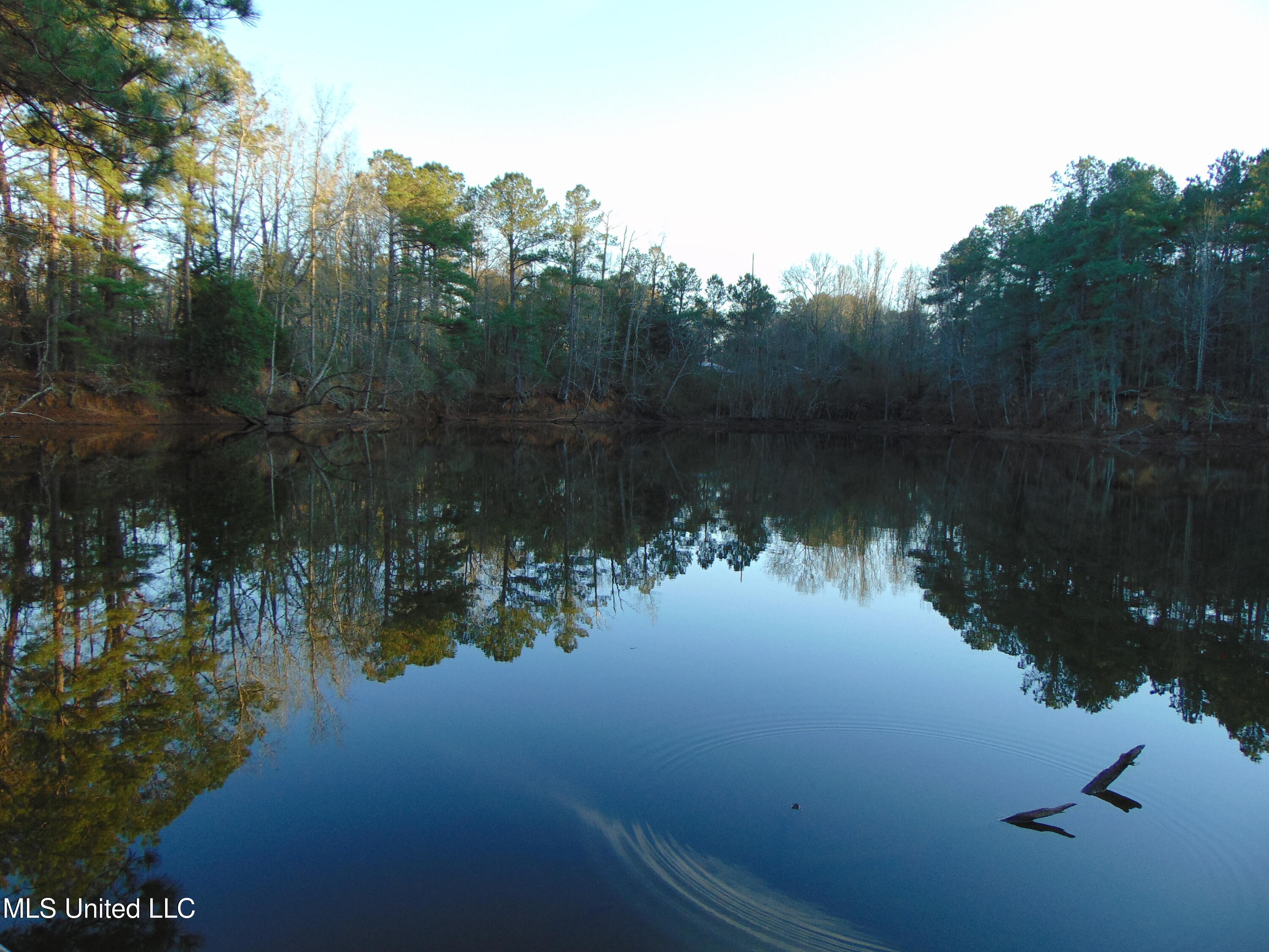 2605 Northeast Brignall Road Brookhaven, MS 39601 - Photo 25 of 33 DSC05674