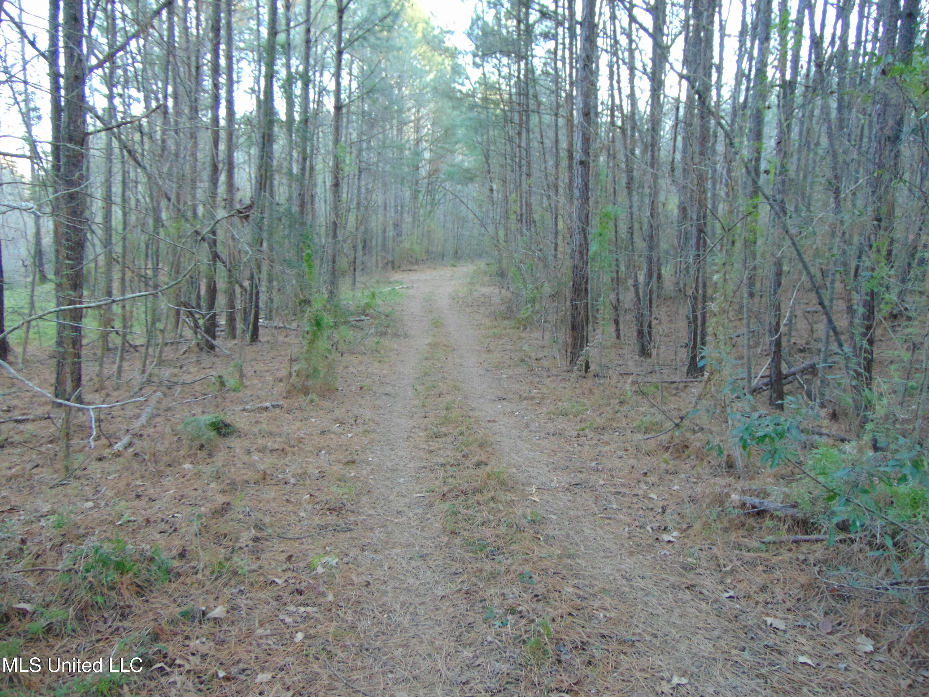 2605 Northeast Brignall Road Brookhaven, MS 39601 - Photo 26 of 33 DSC05675