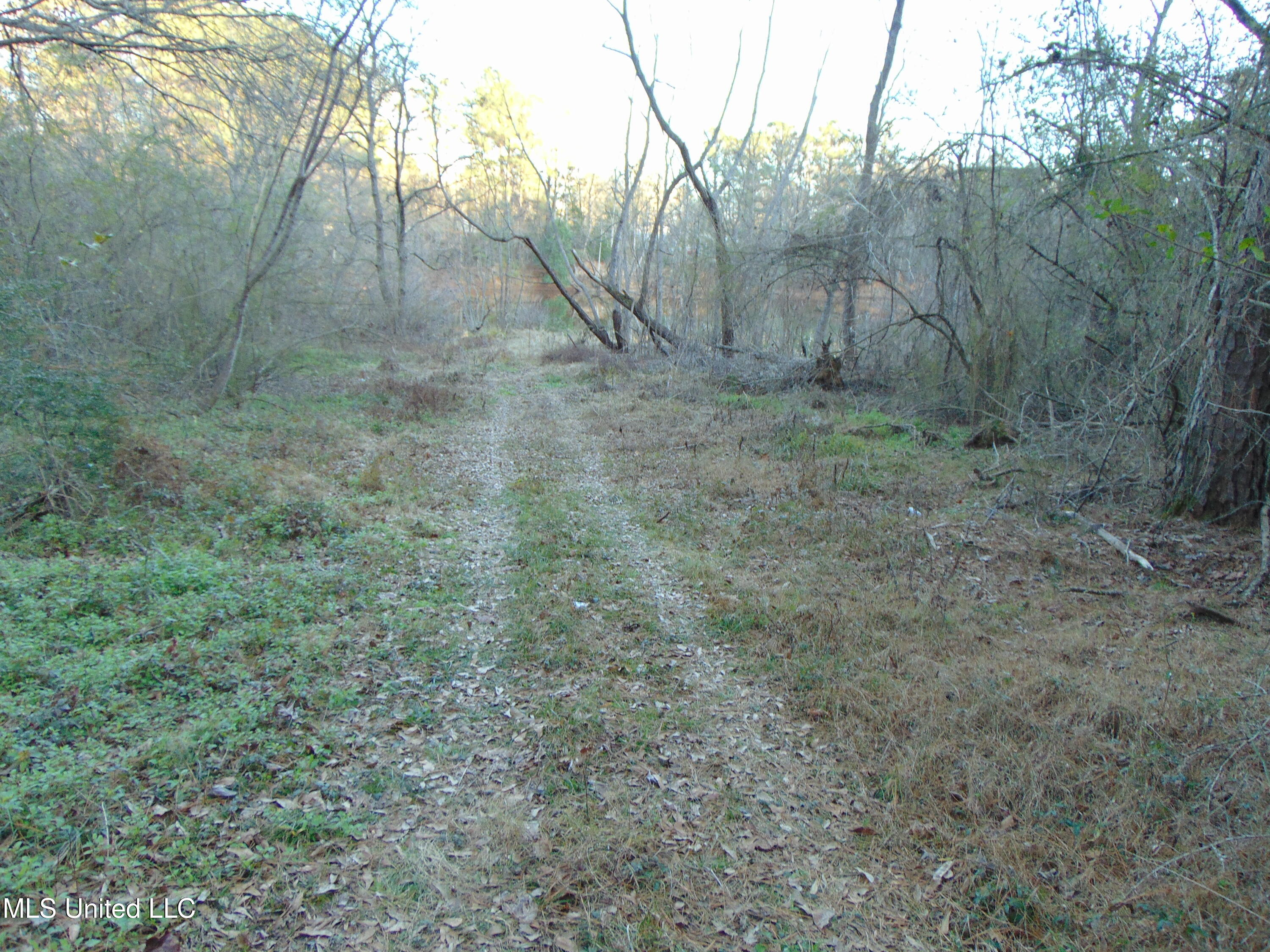 2605 Northeast Brignall Road Brookhaven, MS 39601 - Photo 27 of 33 DSC05677