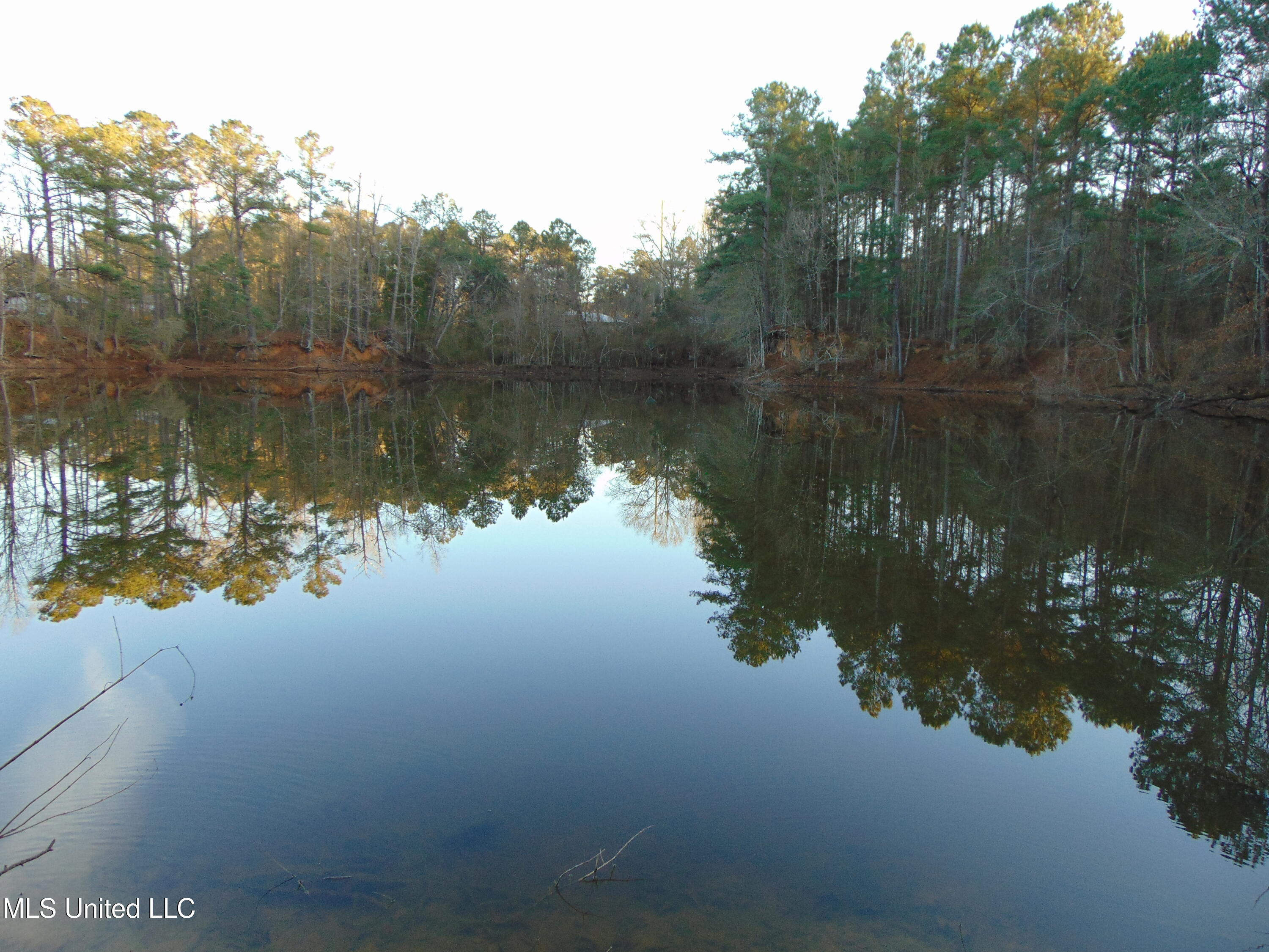 2605 Northeast Brignall Road Brookhaven, MS 39601 - Photo 28 of 33 DSC05679